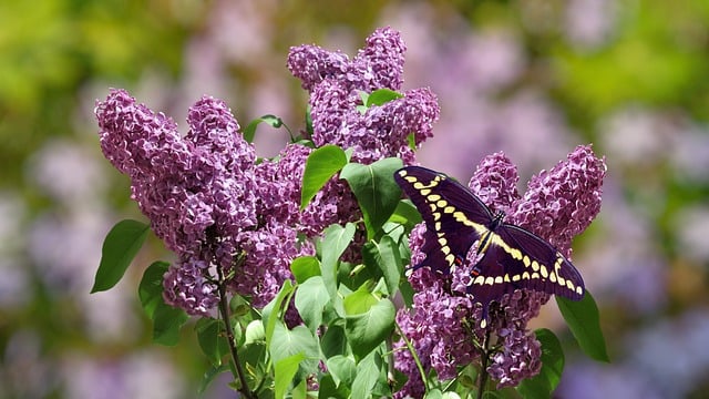 자유롭게 일하는 디지털 노마드 노트북과 커피