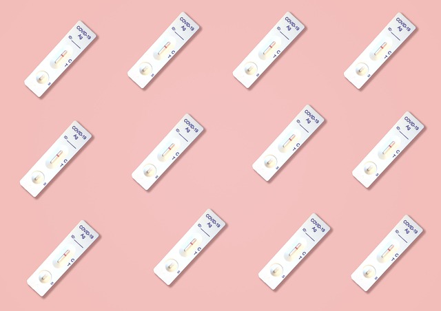 마스카라 테스트 준비