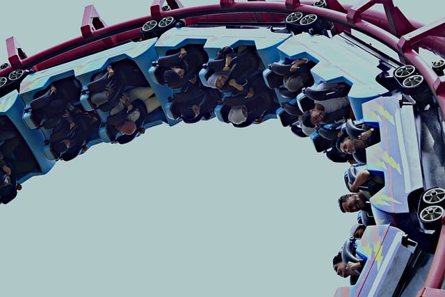 다양한 종류의 롤러