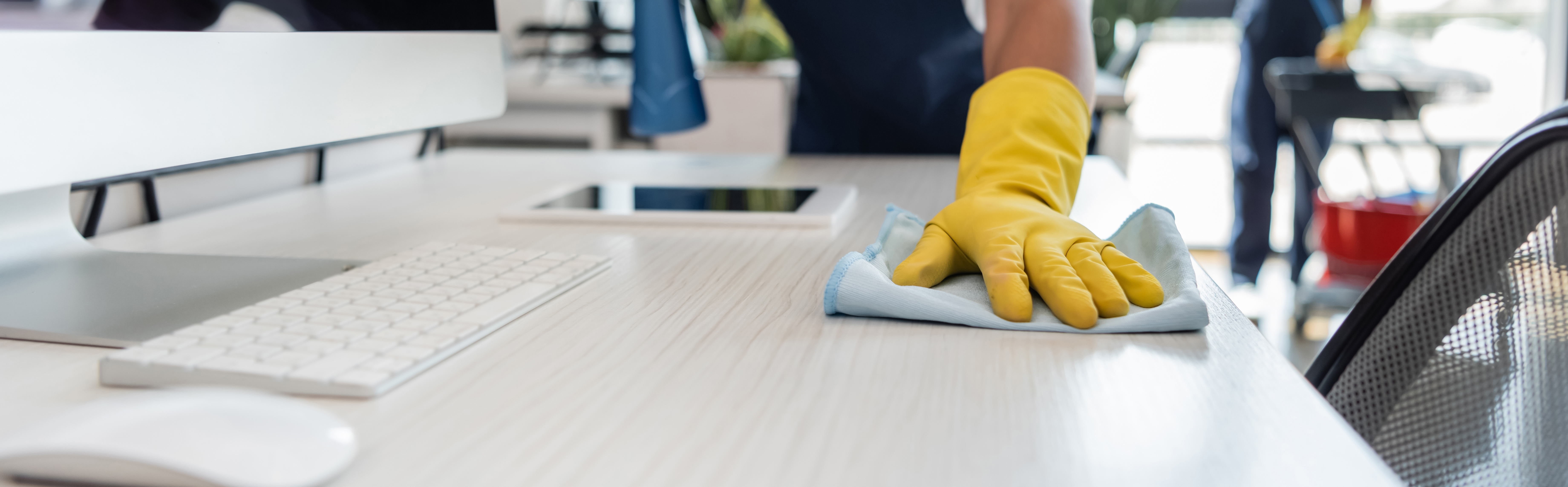 Professional cleaning team