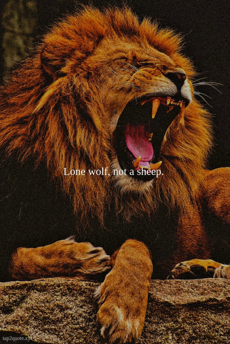 Tap2Quote demo - Create quote images with our free quote generator