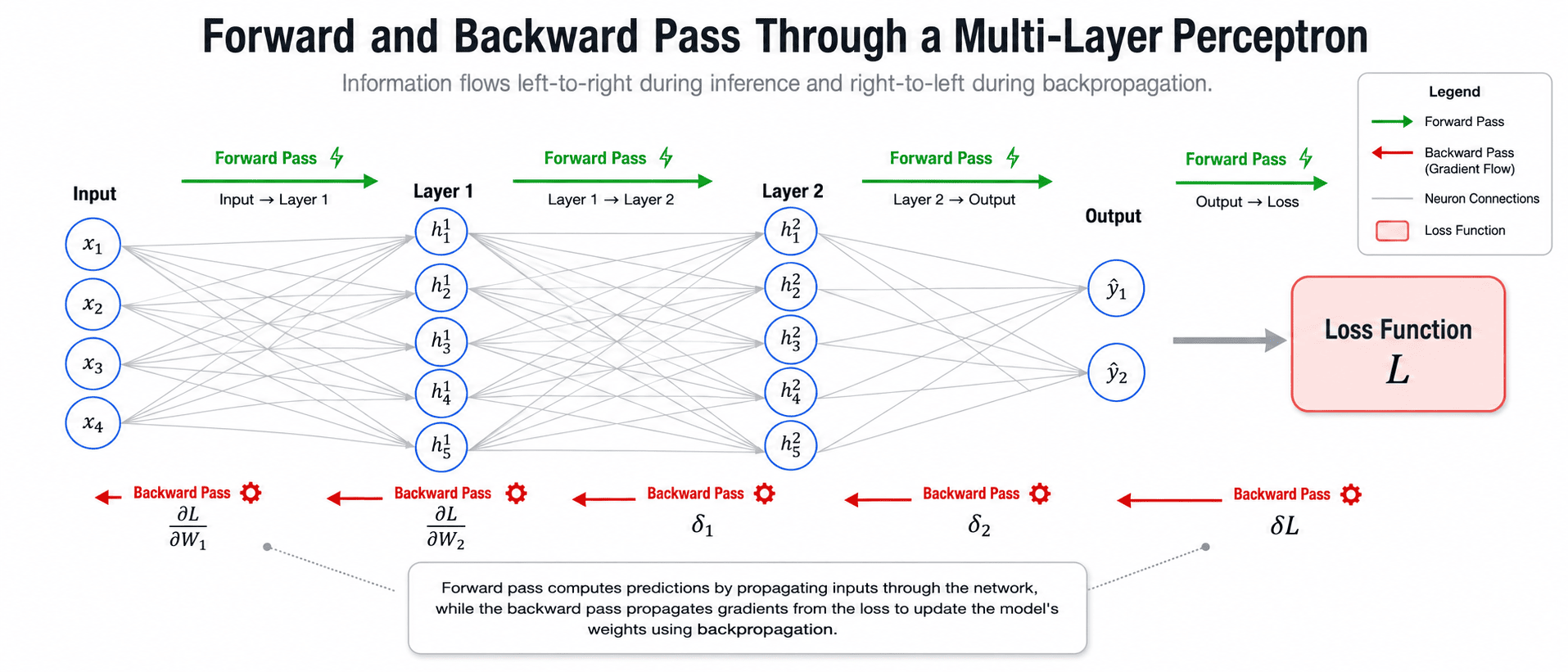 Forward and Backward Pass Through a Multi-Layer Perceptron