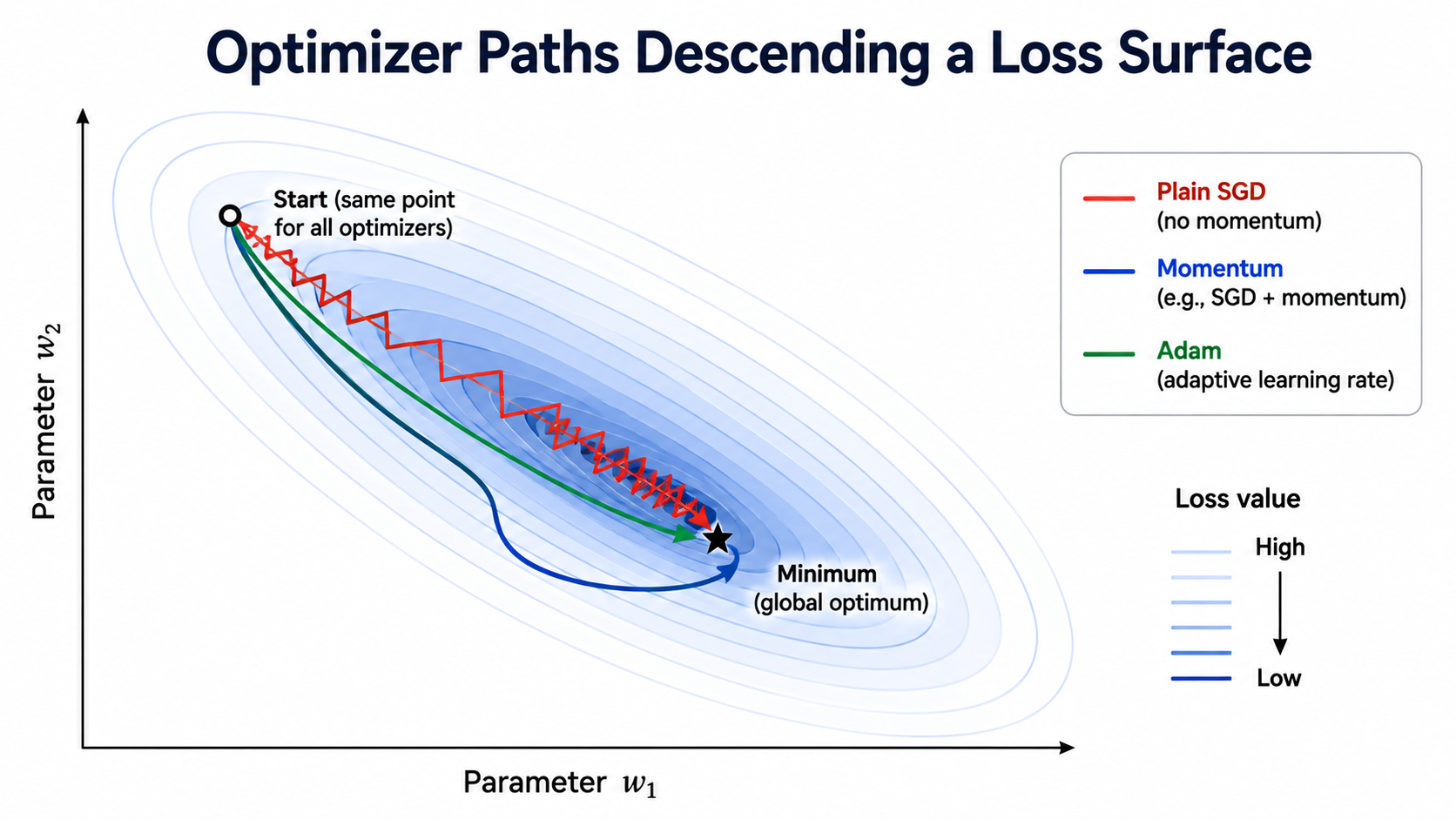 লস সারফেস বরাবর অপ্টিমাইজারের পথ (Optimizer Paths Descending a Loss Surface)