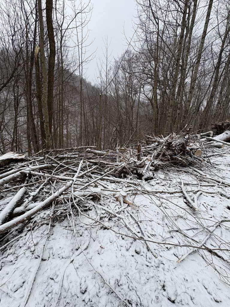 Wolf Laurel raw land acquisition 2022