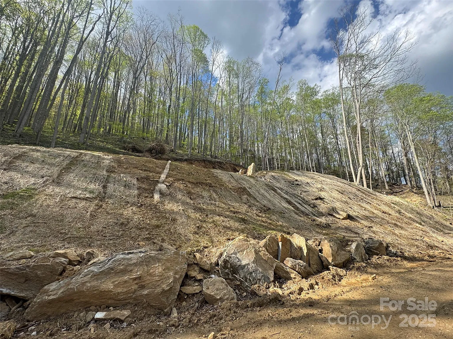 Cleared land