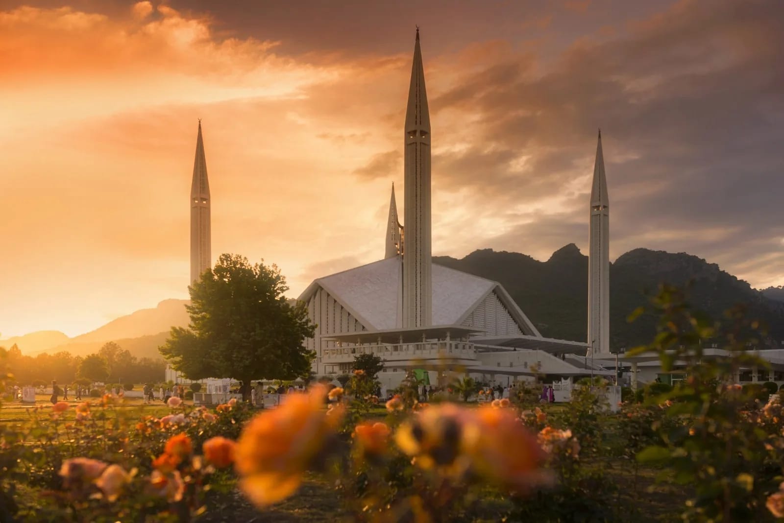 Studio Showcase — city islamabad