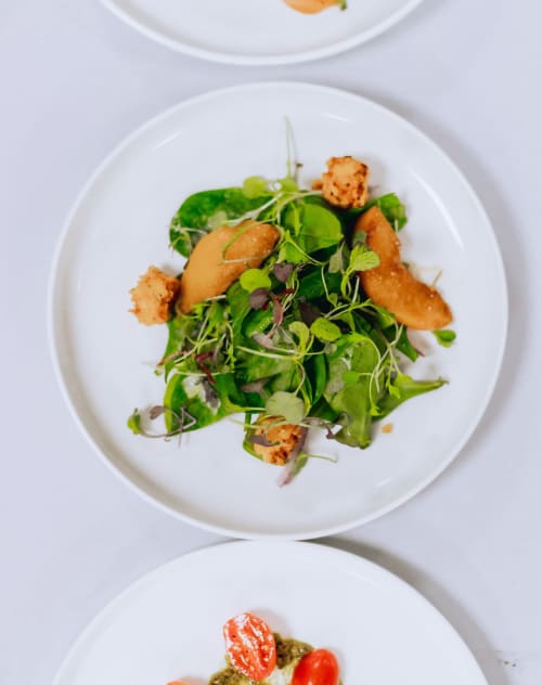 Excellere Website PLated Meals2