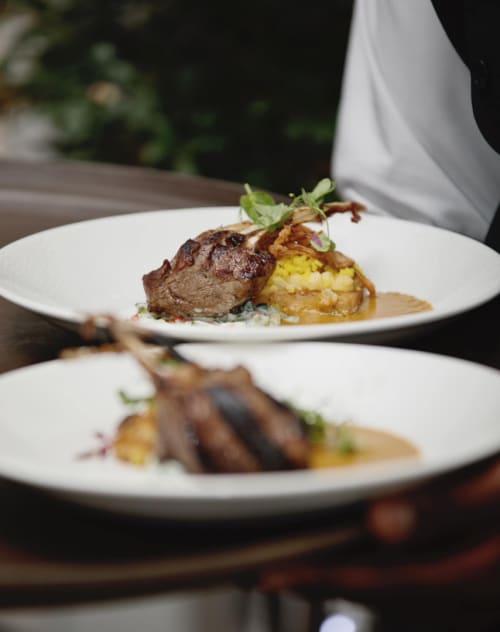 Excellere Website Plated Meals3