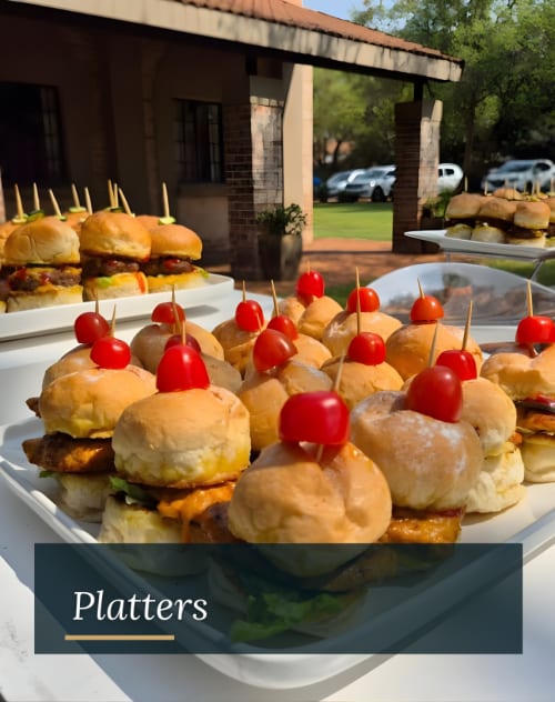 Excellere Website Platters1