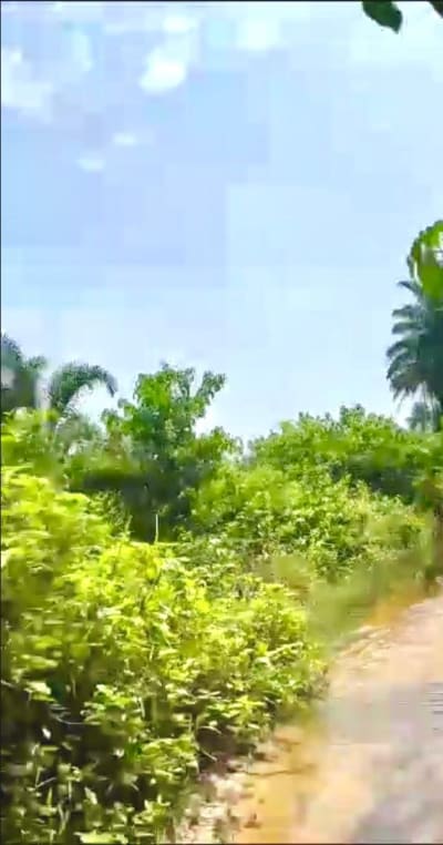 Acres of Lands