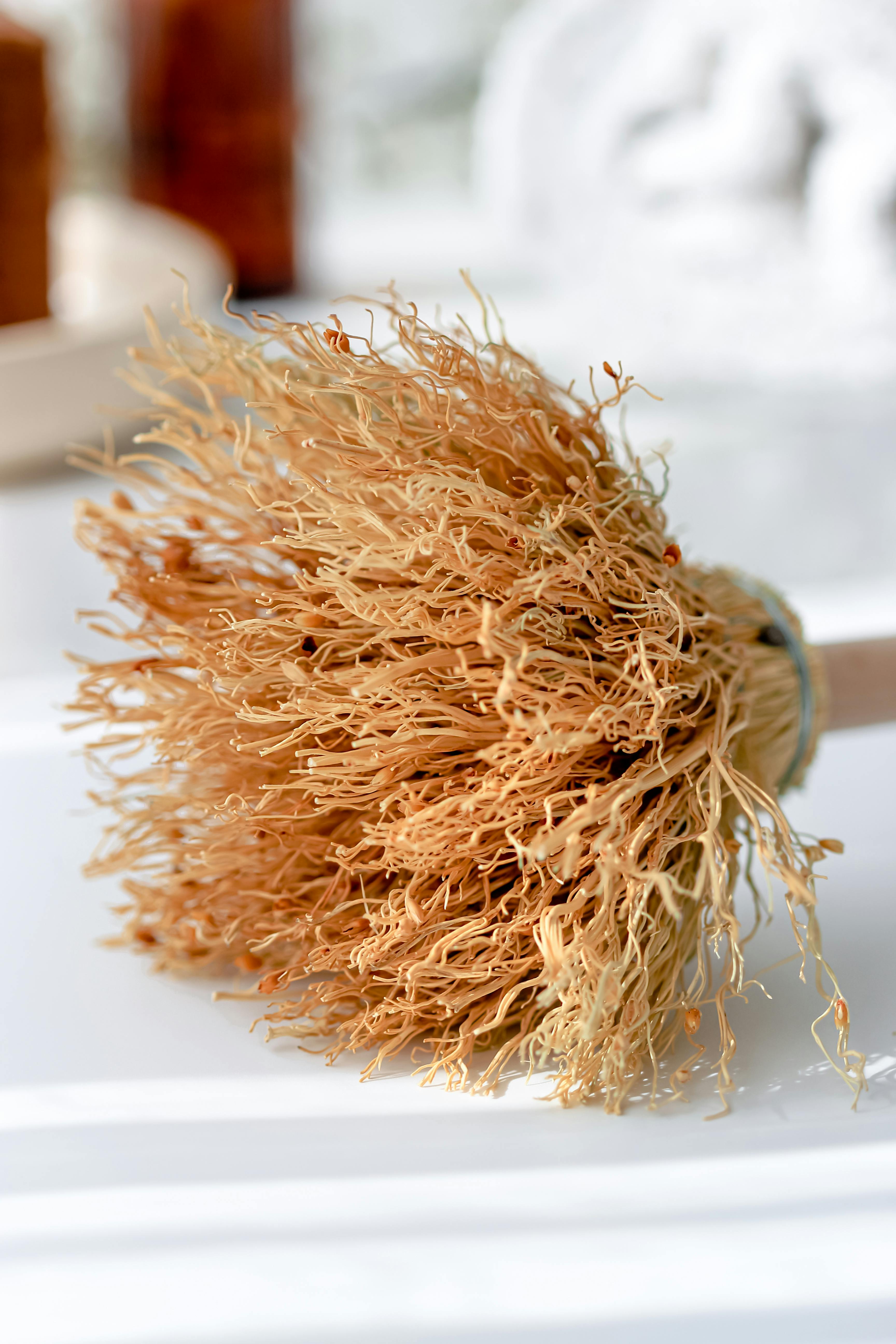 Hair and scalp close up