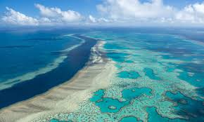 Explore the Great Barrier Reef