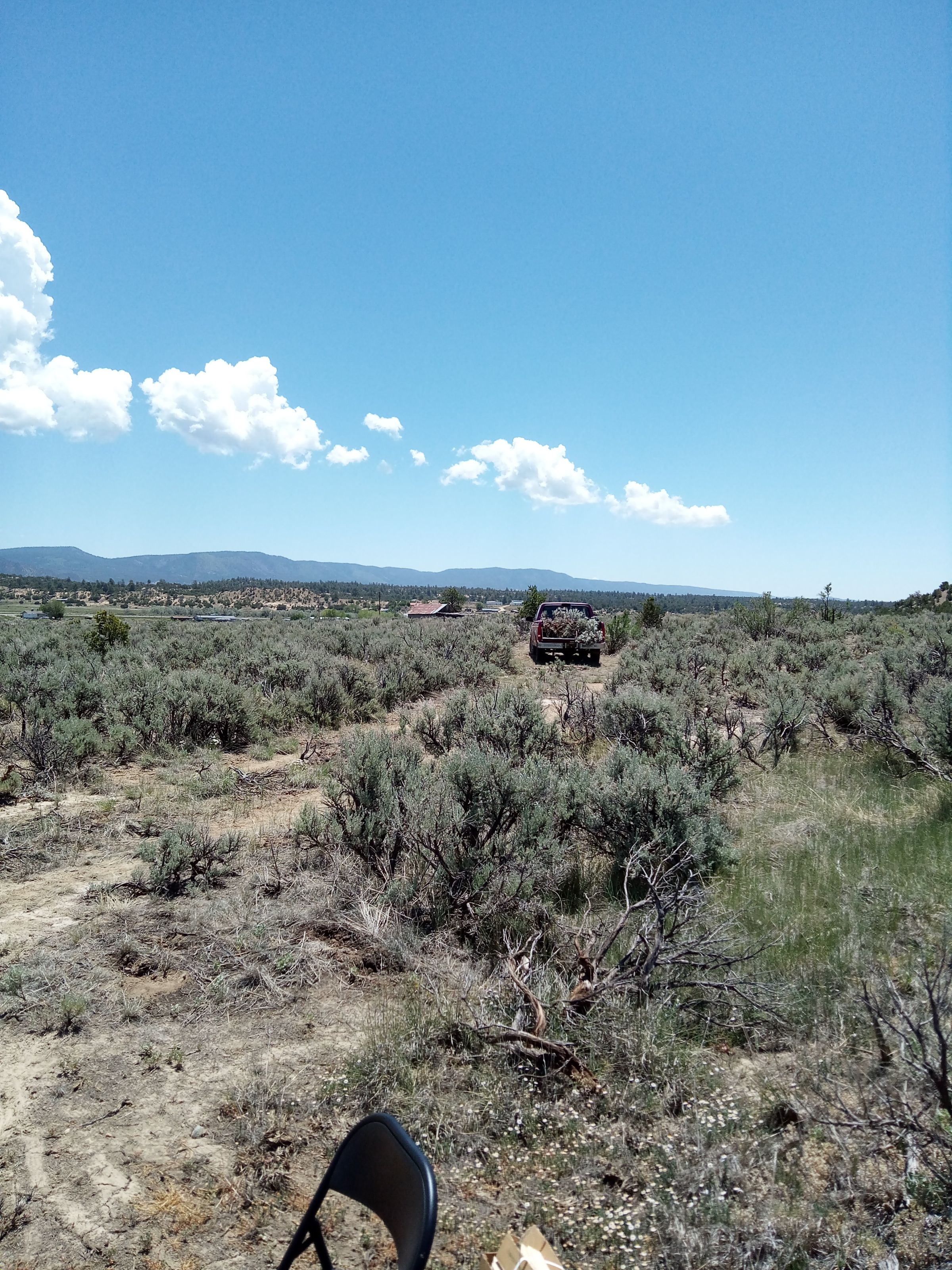 Truck loaded with brush on the dirt road