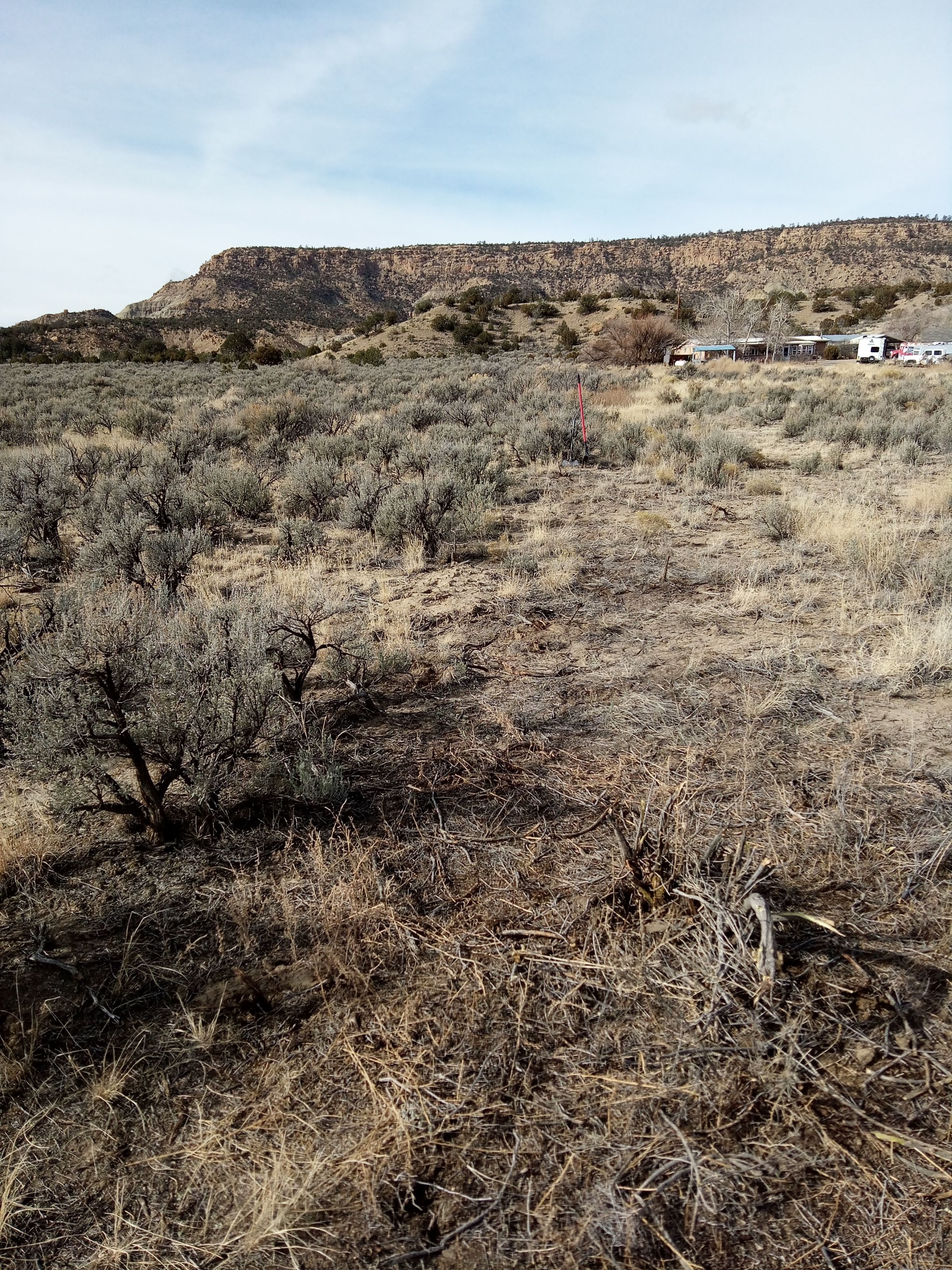 Mesa view from north property boundary