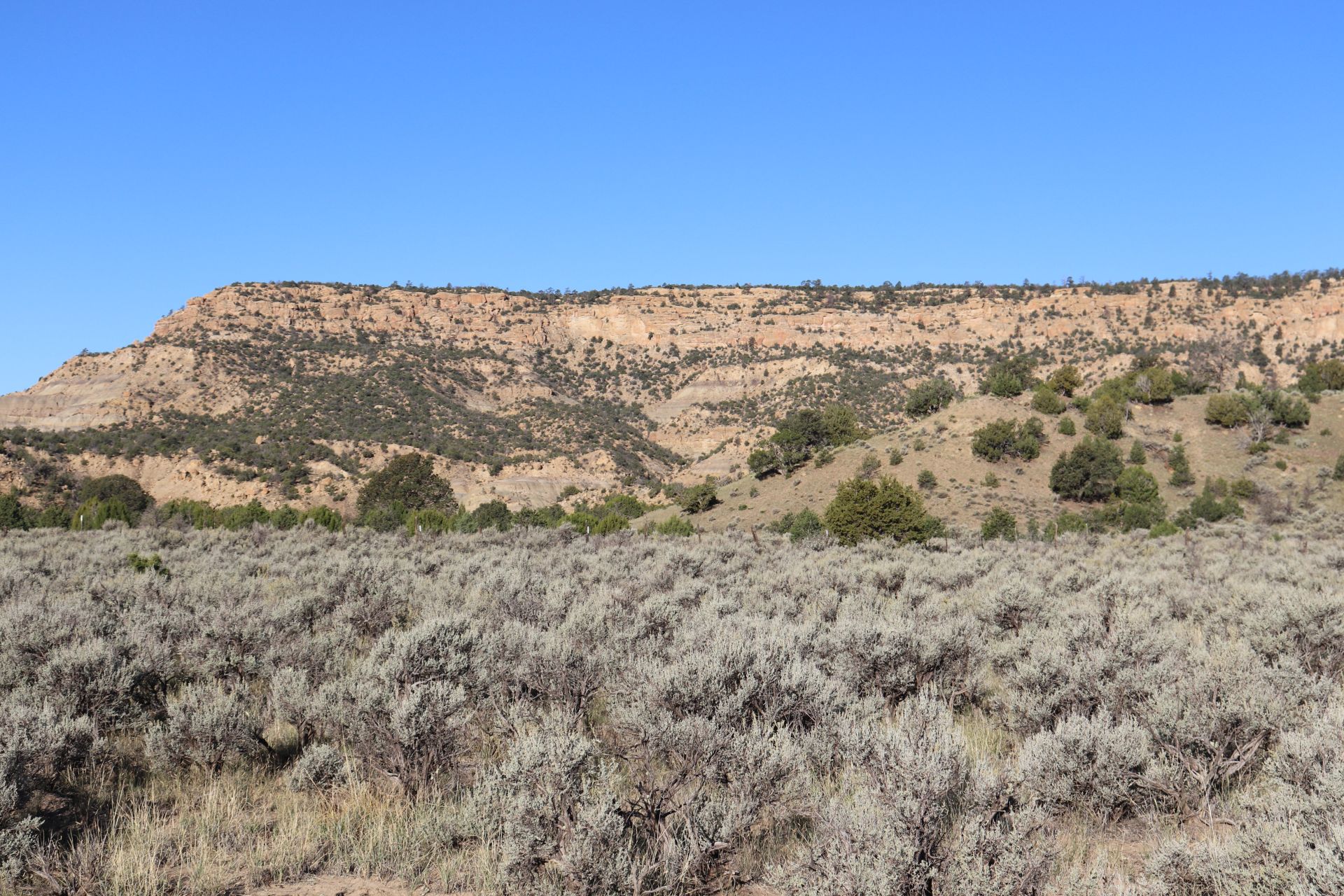 Target range area with mesa backdrop — SW corner of the property