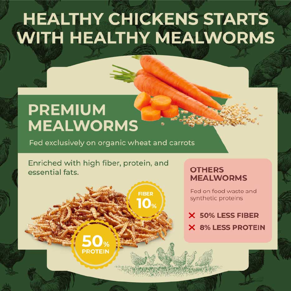 Chicken Health Benefits