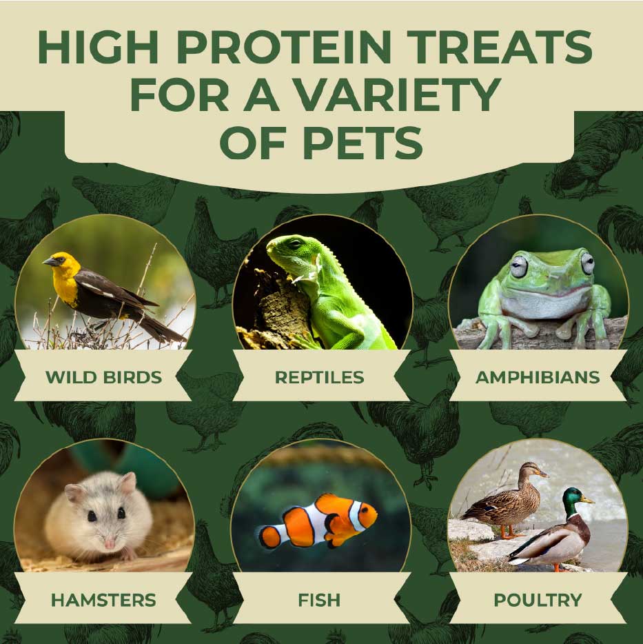 Multi-Species Use