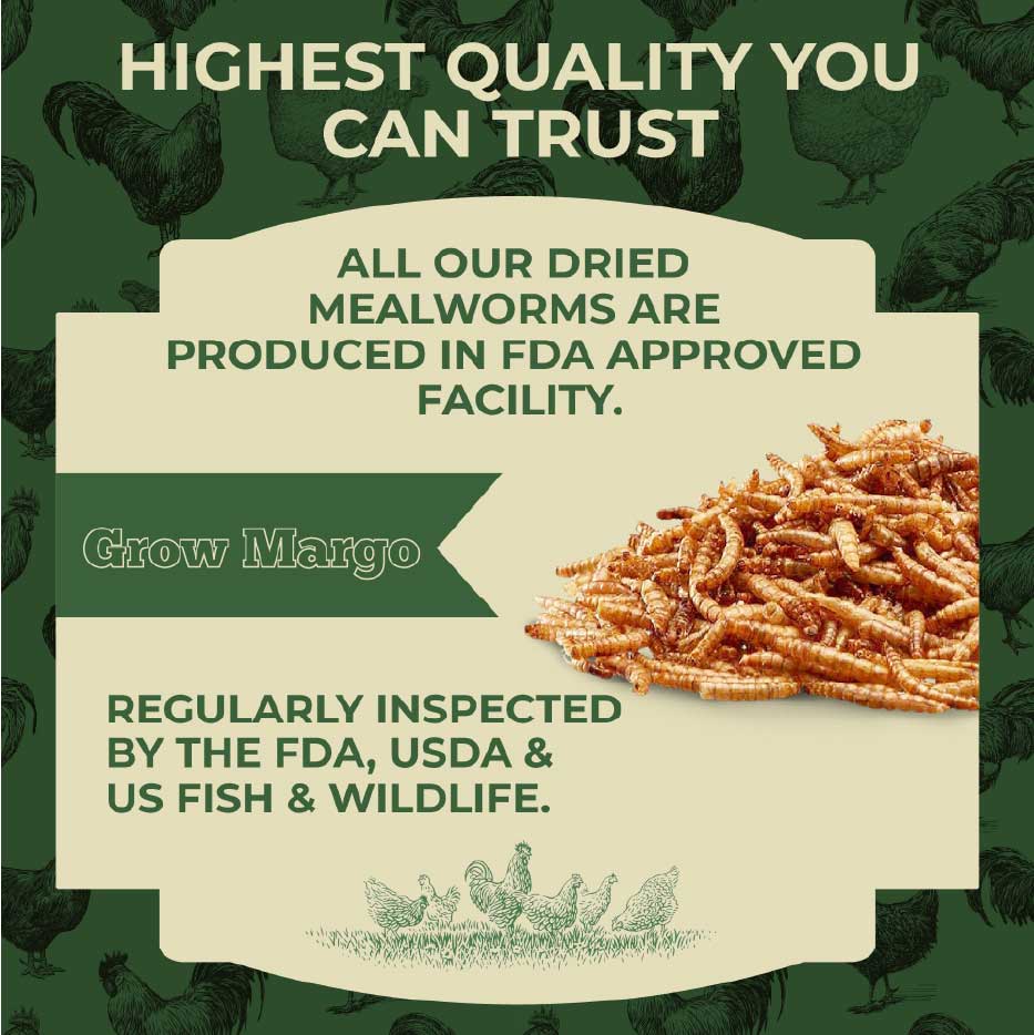 Quality You Can Trust