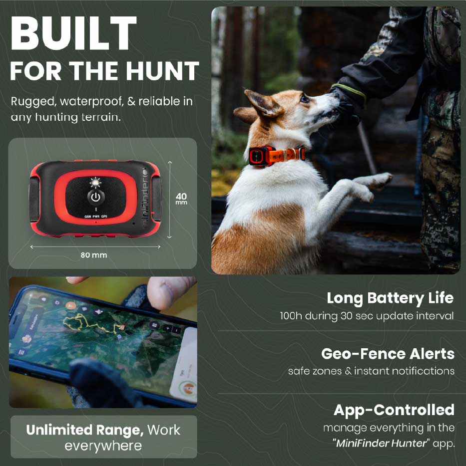Product Build & Specifications