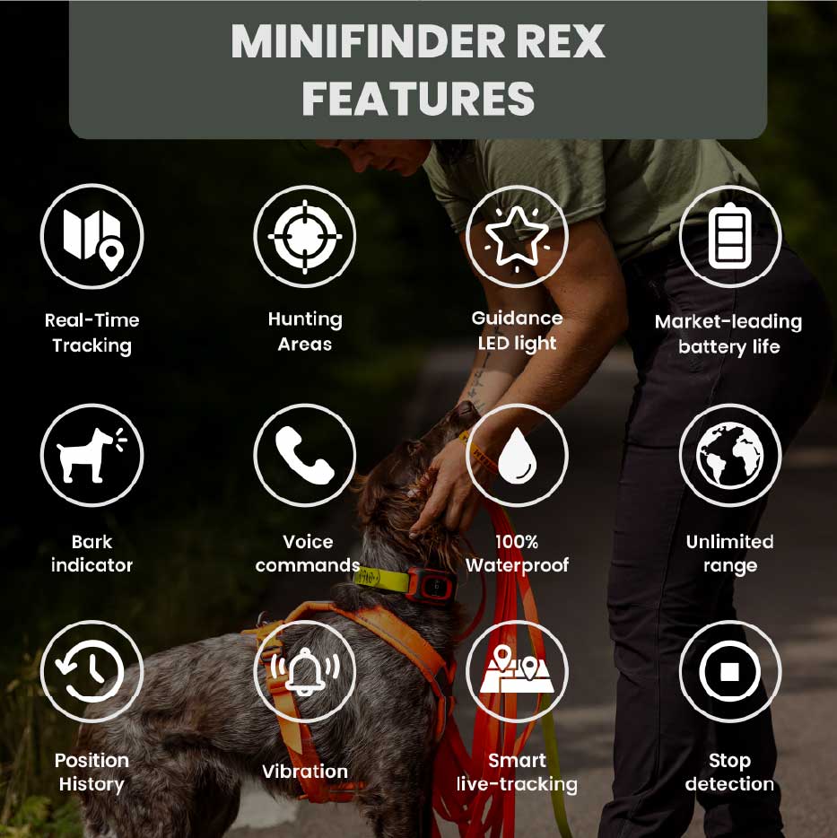 MiniFinder Rex Features