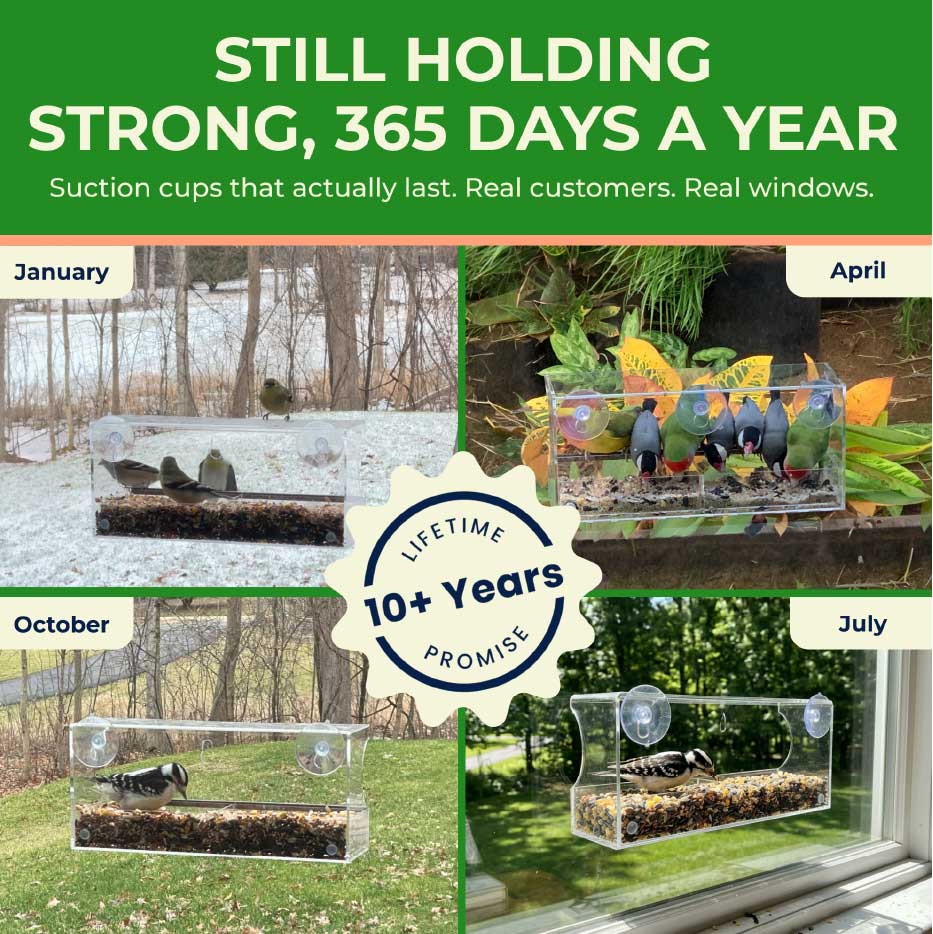 Long-Term Quality Promise