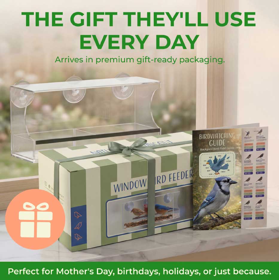 Perfect Gift Option