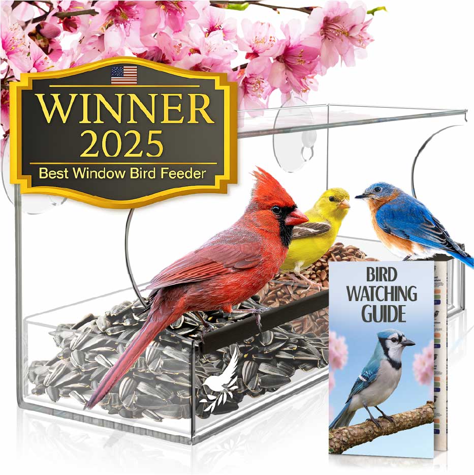 OG Bird Feeder - Main Image