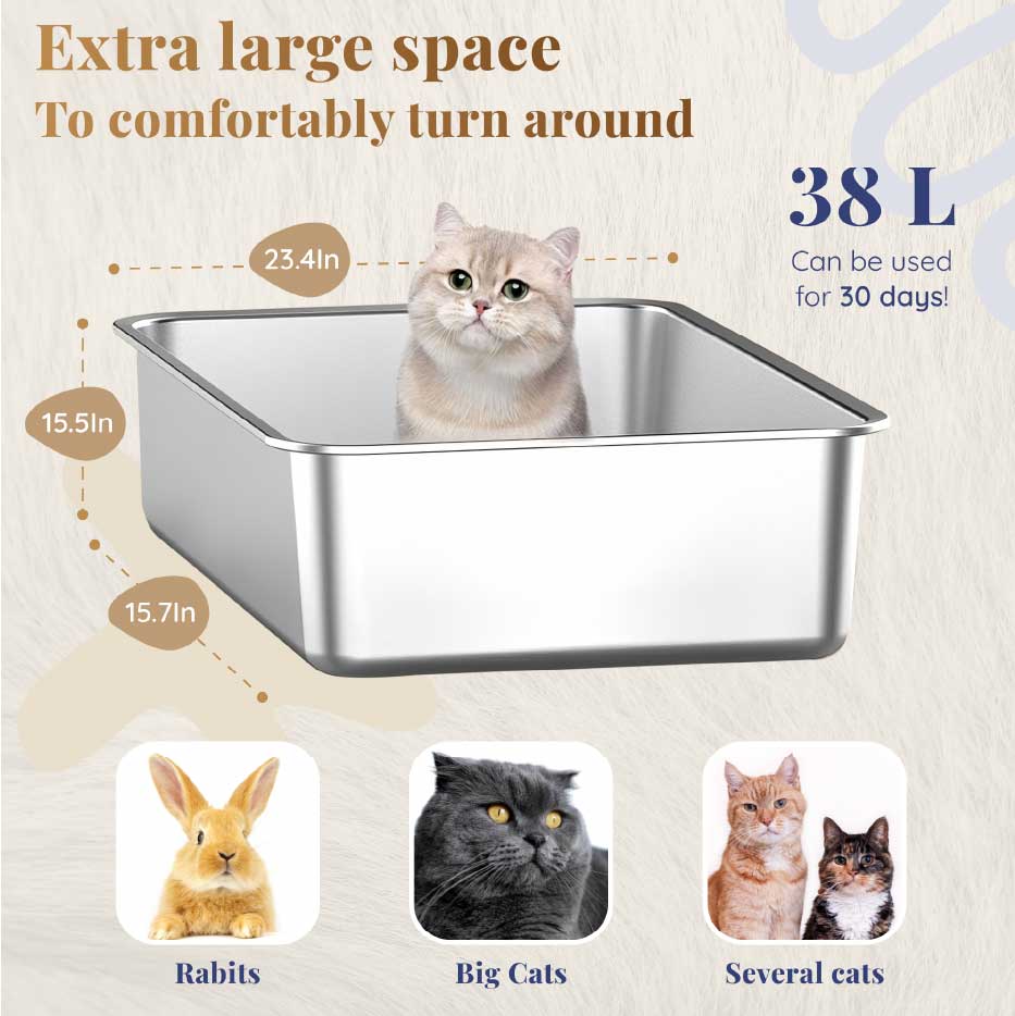 Extra Large Size & Dimensions