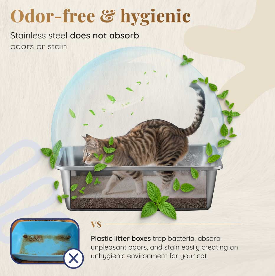 Odor-Free Hygiene