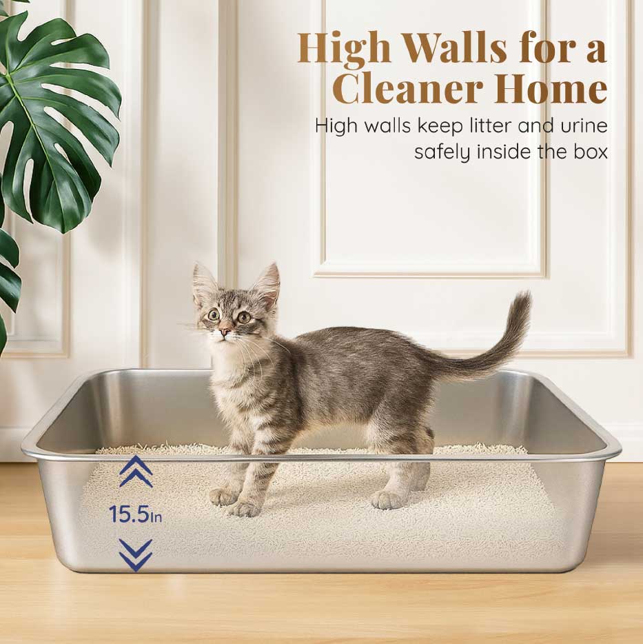 High-Wall Design