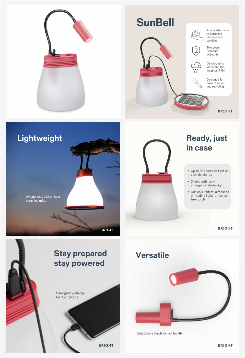Bright SunBell - before