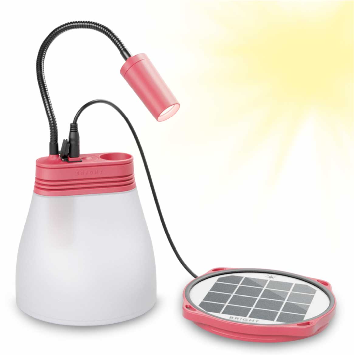Bright SunBell - Main Image