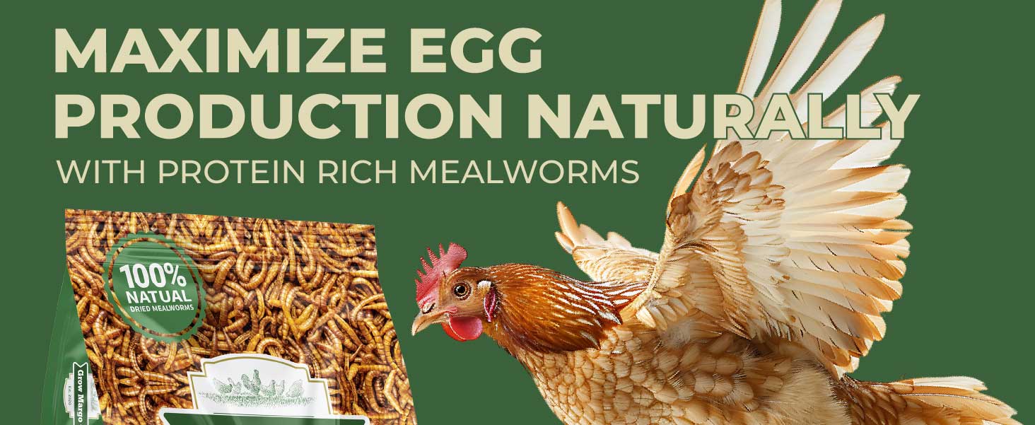 Naturally Support Egg Production
