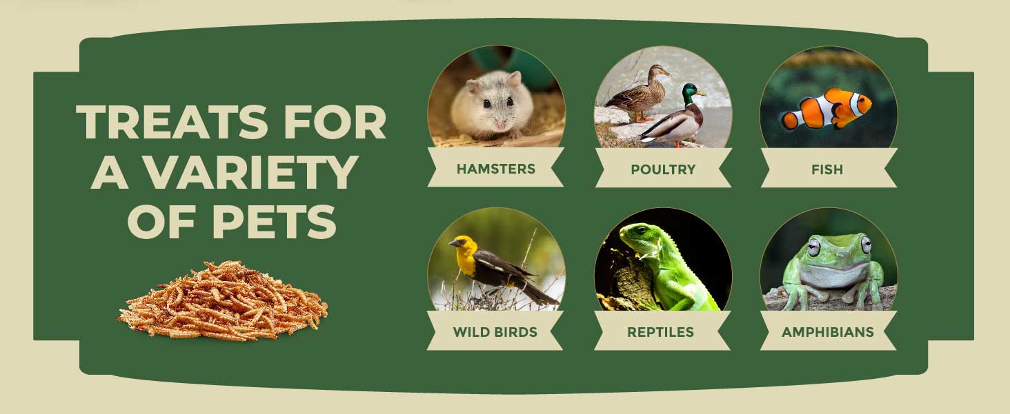 Nutritious for a Variety of Animals