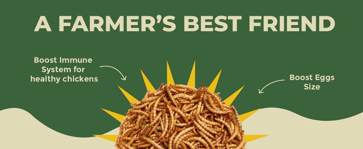 A Farmer's Trusted Companion