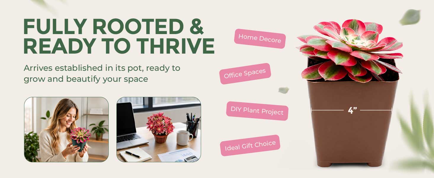 Style Your Space