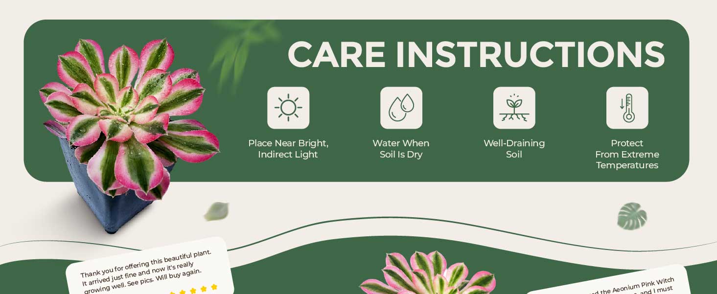 Simple Care Instructions