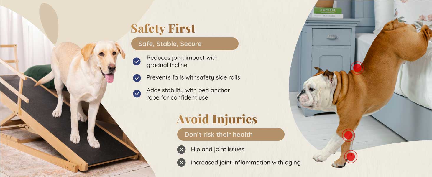 Designed with Safety First