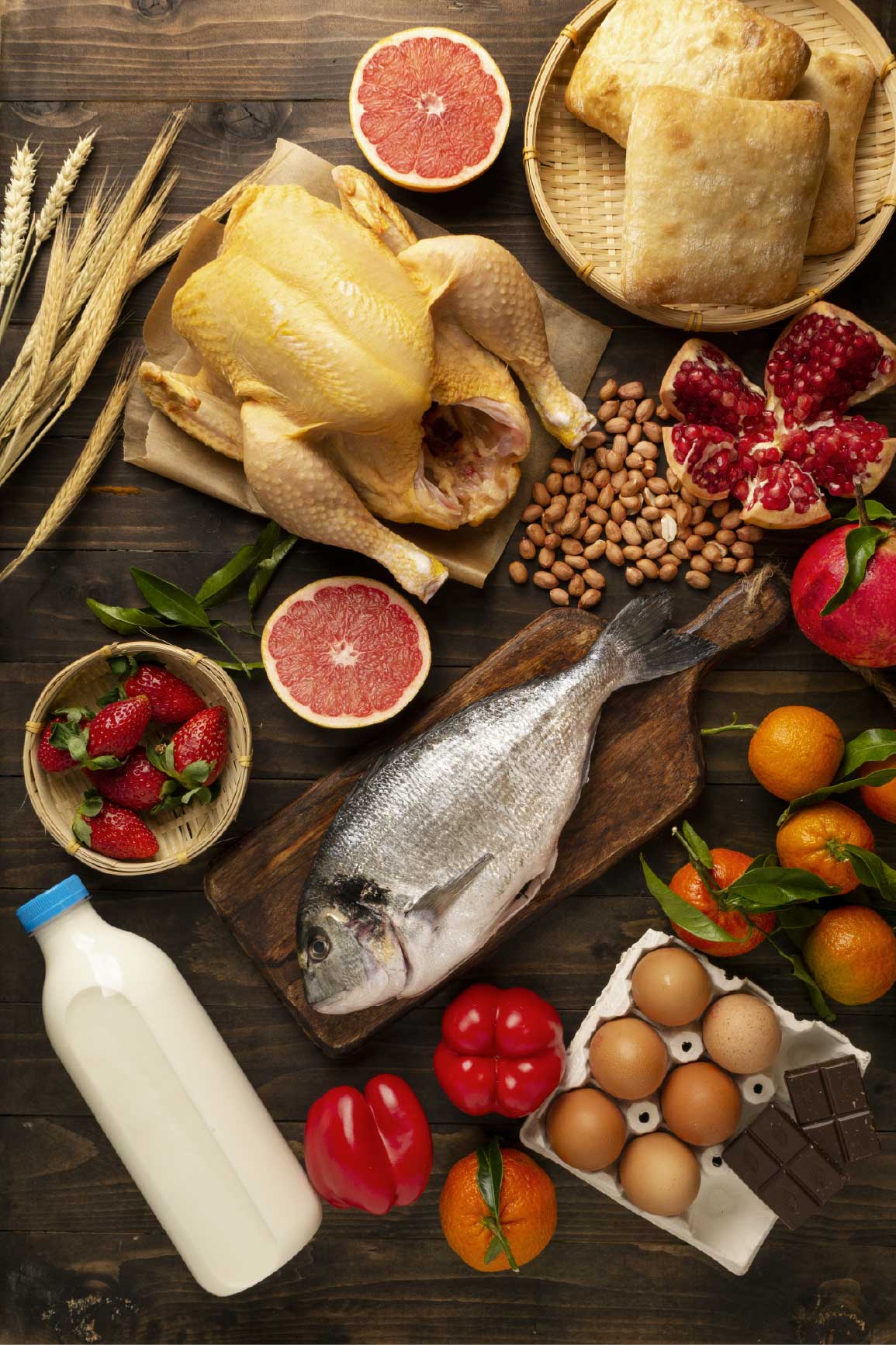 Grocery & Gourmet
