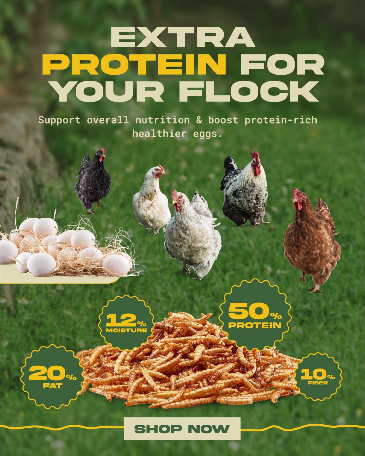 Dried Mealworms - design 1