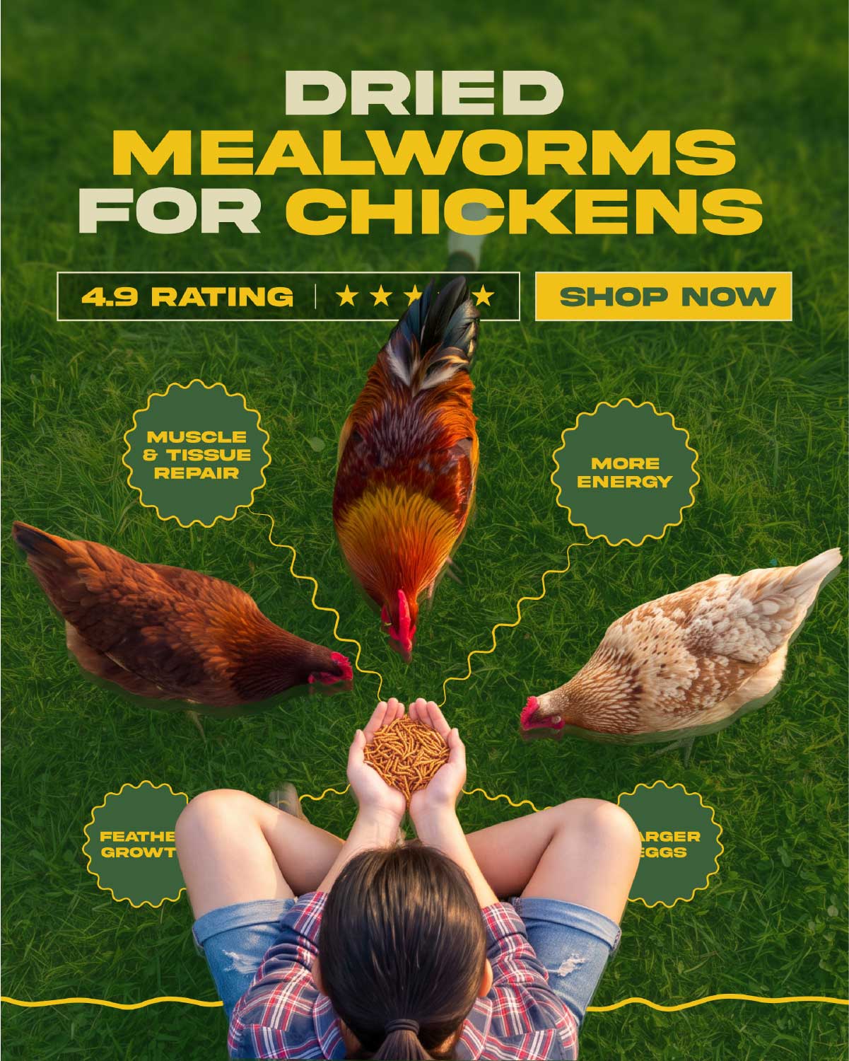 Dried Mealworms - design 10