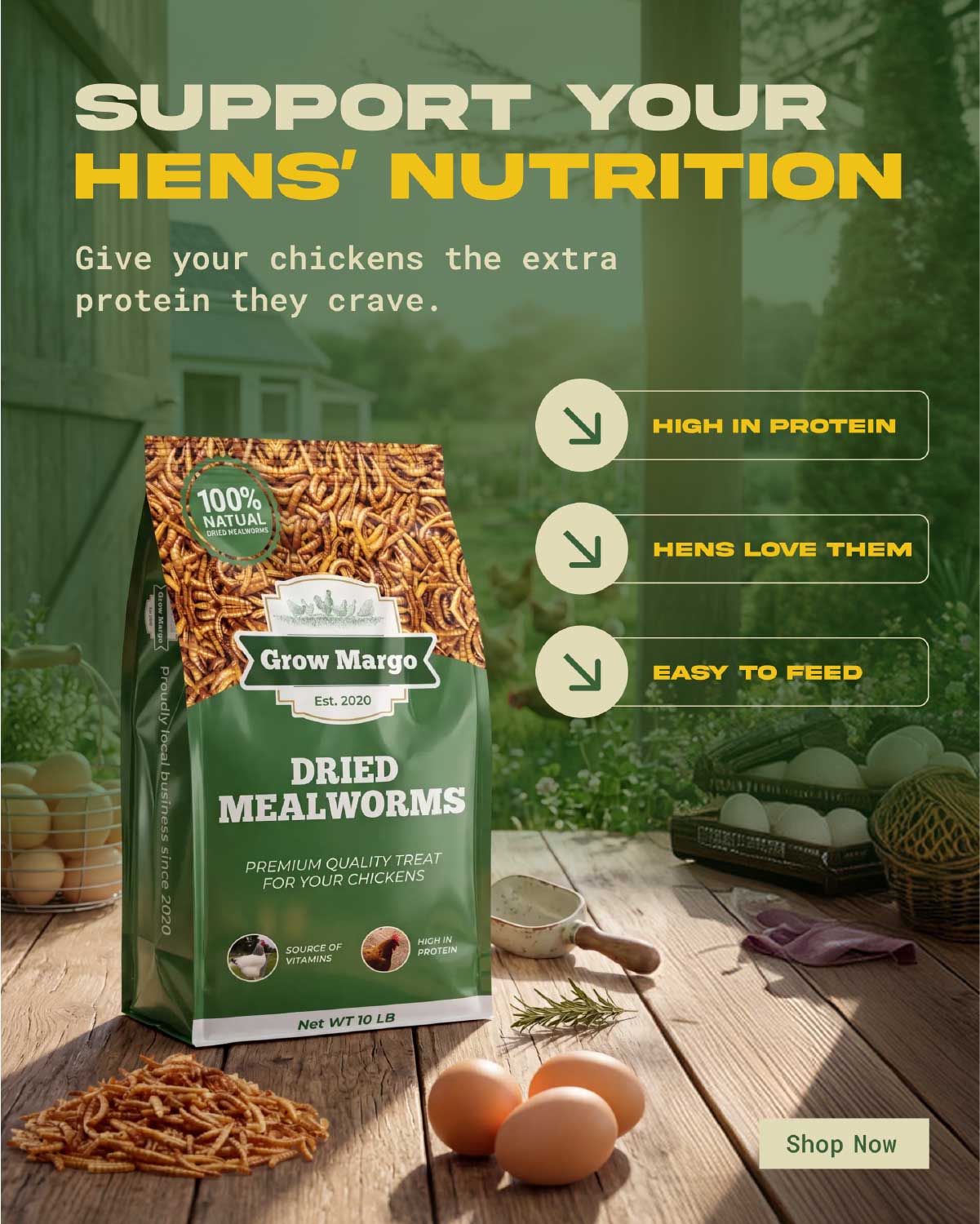 Dried Mealworms - design 9