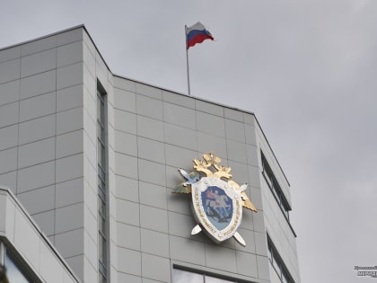 После публичного обращения врачей из Новоуральска СКР возбудил уголовное дело
