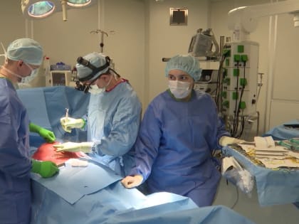 Екатеринбургские кардиохирурги показали уральским коллегам, как проводить уникальную операцию на сердце