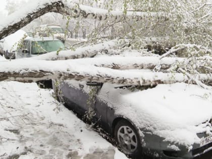 Свердловскую область накрыл майский снегопад и ледяной дождь