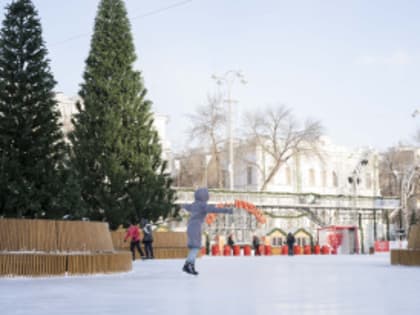 Доступность катков для жителей и гостей города оценила комиссия по развитию образования