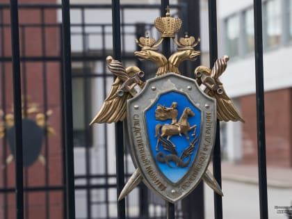 Уголовное дело против подростков, избивших мужчину в УрФО