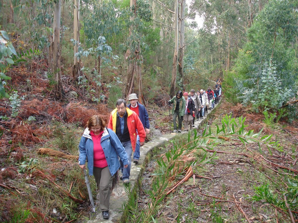 Foto do grupo Vianatrilhos