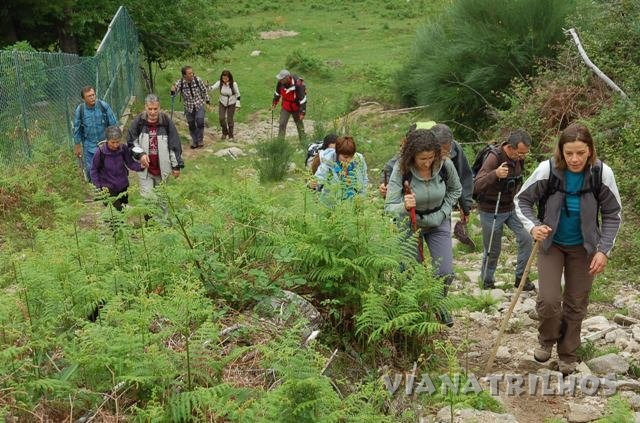 Foto do grupo Vianatrilhos