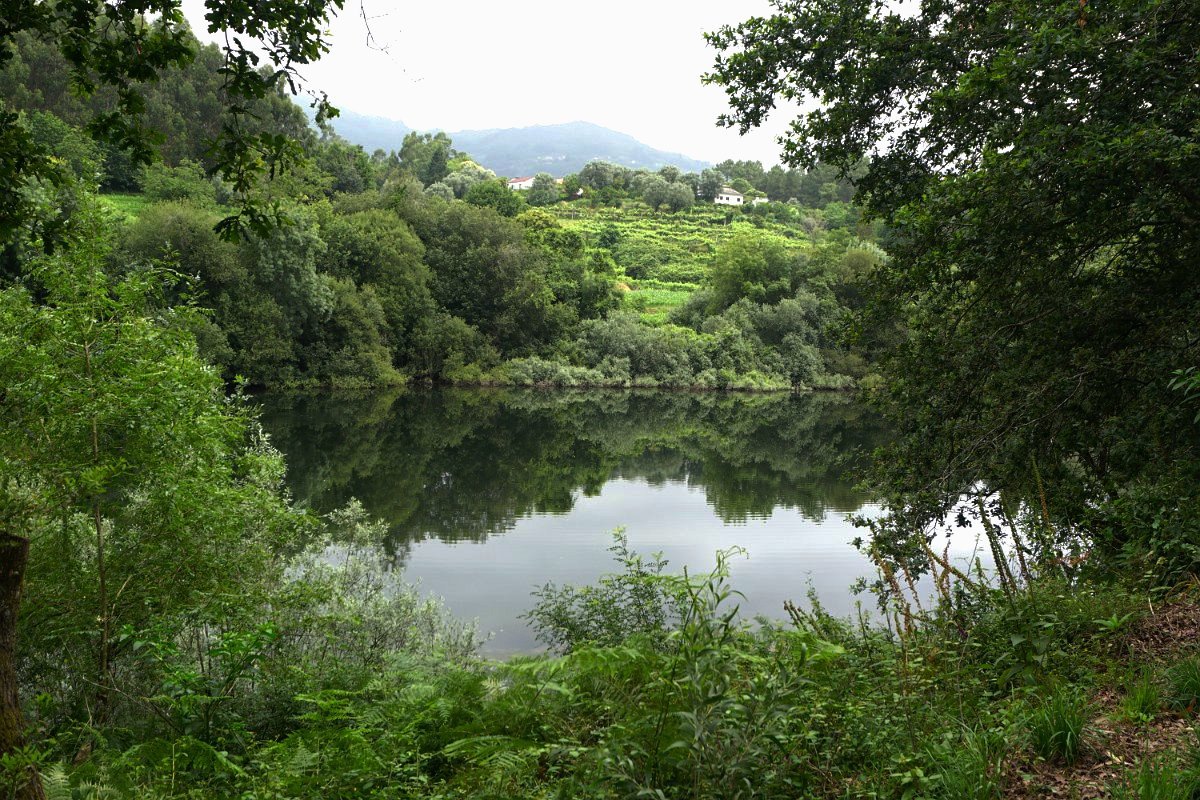 Foto do grupo Vianatrilhos